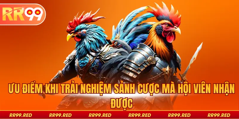 Ưu điểm khi trải nghiệm sảnh cược mà hội viên nhận được